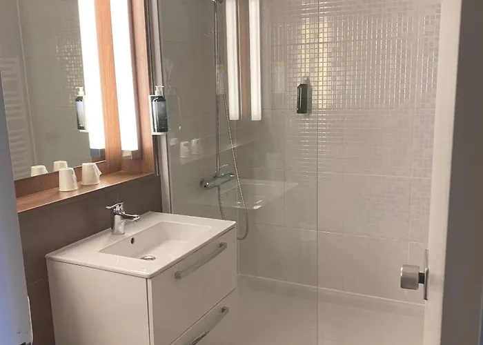 Brit Confort Nancy Отель 3*